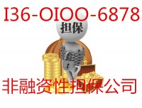 非融资性的担保公司执照转让