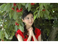 龙江到重庆沙坪坝区货运公司