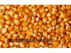 求购糯米碎米小麦淀粉豆类大米高粱玉米等原料图1