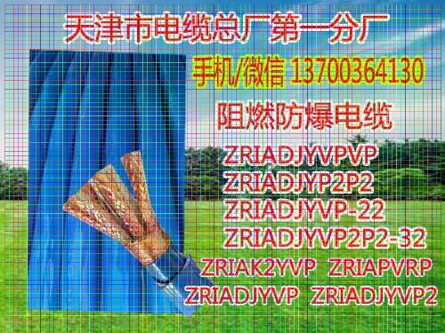 泉州NHDJYVP22钢带电缆厂家10x2x0.75