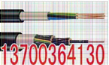 宁波耐火计算机电缆NHDJYVP结构2x0.5