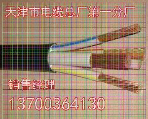 庆阳ZRNHRVVP电缆电话12x2x0.5