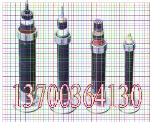 厦门钢丝电缆NHKVVR32特点2x0.5