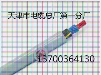 阳江ZRNHRVVP电缆工艺6x2x1.0