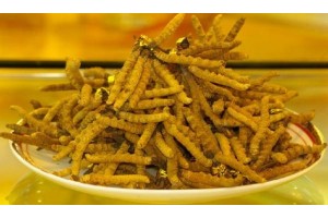 翻身路回收冬虫夏草规格图2