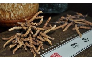 石排回收冬虫夏草规格行情图2