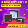 DSSD99A1-SE三相三线电子式多功能仪表