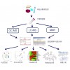 脂质组学现货批发，上海鹿明立足代谢组学技术精湛质量优