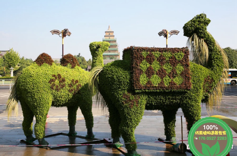 北仑五色草植物绿雕厂家定制