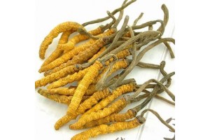 布心回收冬虫夏草商行图2