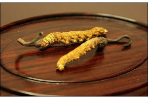 布心回收冬虫夏草商行图3