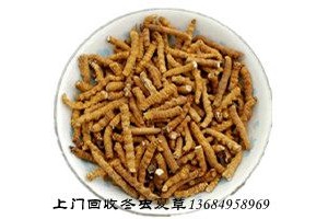 禅城回收冬虫夏草市场价格情况介绍图3