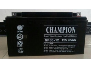 蓄电池NP8-12 12V8AH