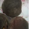 桃树苗新品种黑桃树苗批发