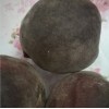 桃树新品种黑桃甜品种介绍