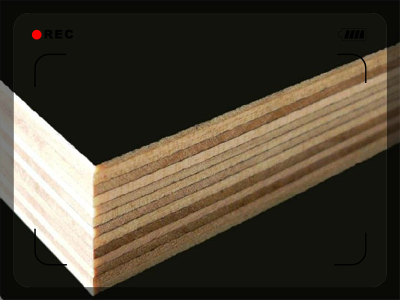 盘锦建筑用木模板批发