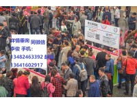 2019上海玩具展暨积木拼图展览会