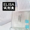 大鼠血纤蛋白原吉林(Fbg)ELISAkit