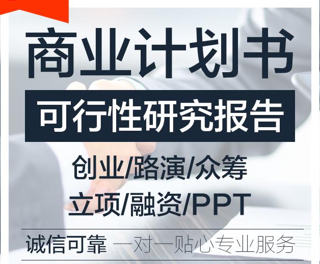 中卫项目偿债能力分析报告哪家