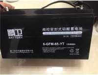 精卫蓄电池6-GFM-100-YT UPS专用蓄电池