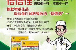 简介：