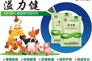 简介：