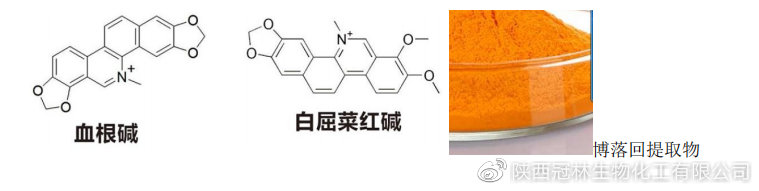 博落回提取物功效性成分