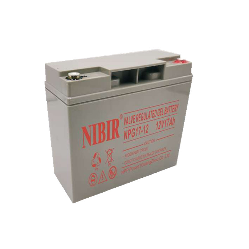 NIBIR12V250AH/