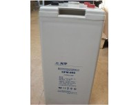 光宇蓄电池6-GFM-100 12V100AH技术参数