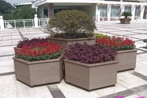 简介：
