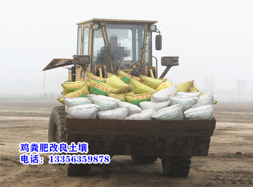 福建漳州漳浦鸡粪增肥农田