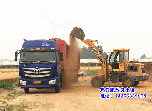 浙江宁波宁海发酵鸡粪改良土壤