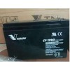 VISIONCP1290 UPSר