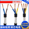 计算机电缆DJFP2F对绞铜带2线组屏蔽