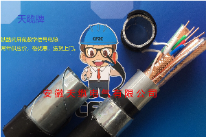 DT-AFR DT-AFPER 地铁专用电缆