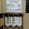 MERSEN/FERRAZ法国工业熔断器T232501 NH000AM50V35