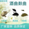 黑曲霉 白曲霉 酒曲固态发酵菌种 麸曲制曲用菌种